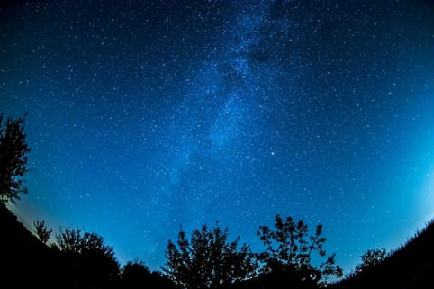Sortie nature : SENSATIONS NOCTURNES | La contrée des minis