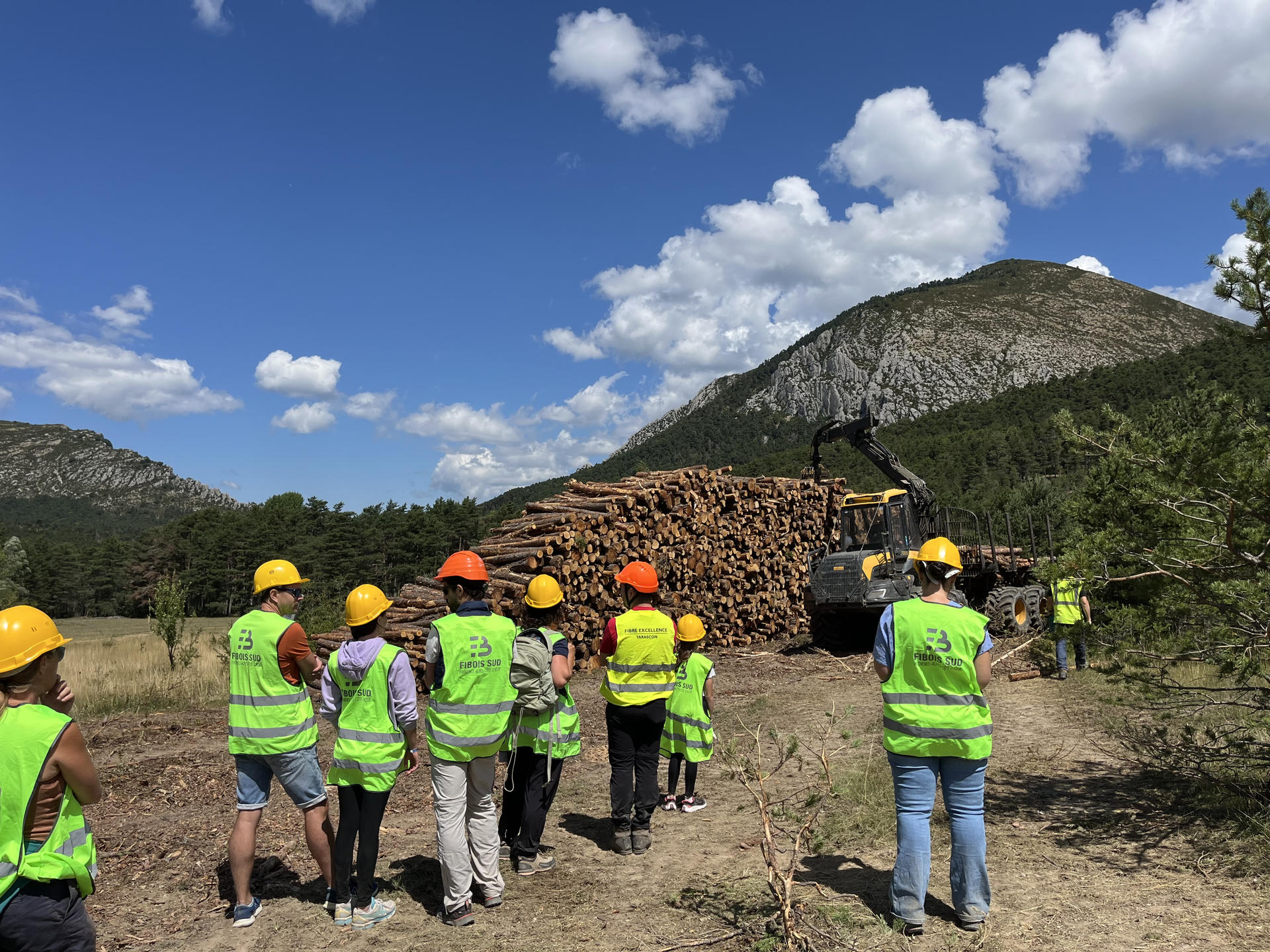 VIS MA VIE DE BÛCHERON | Animations estivales sur chantier forestier | Fibois Sud