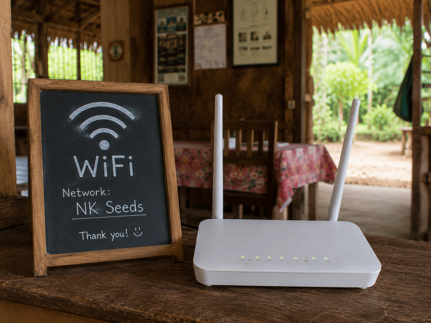 NK Seeds
