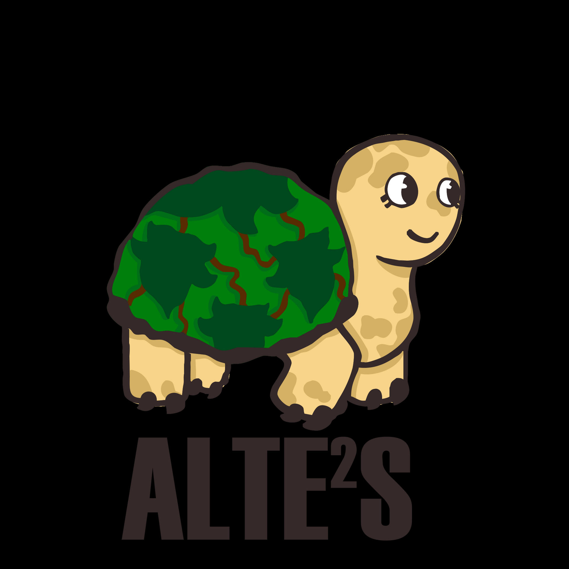 ALTE²S - INGÉNIEURS SANS FRONTIÈRES, GROUPE LOCAL DE VILLEURBANNE | RESES