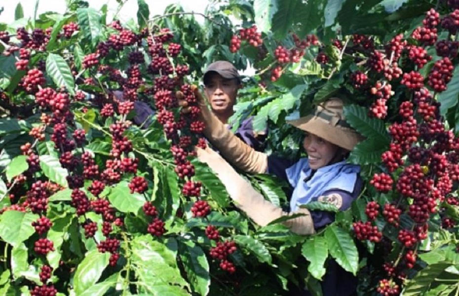 Vietnam Fraternité