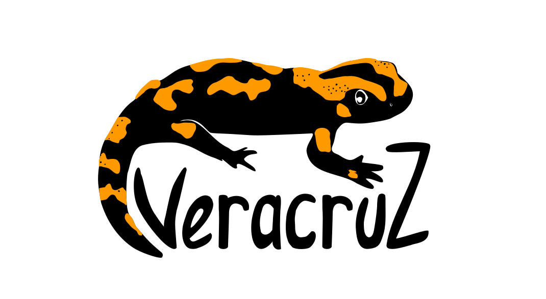 Association Veracruz | RESES
