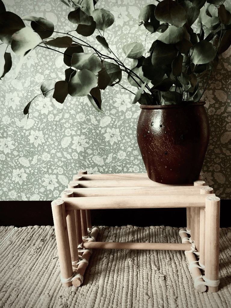 Pot et support en bois avec eucalyptus