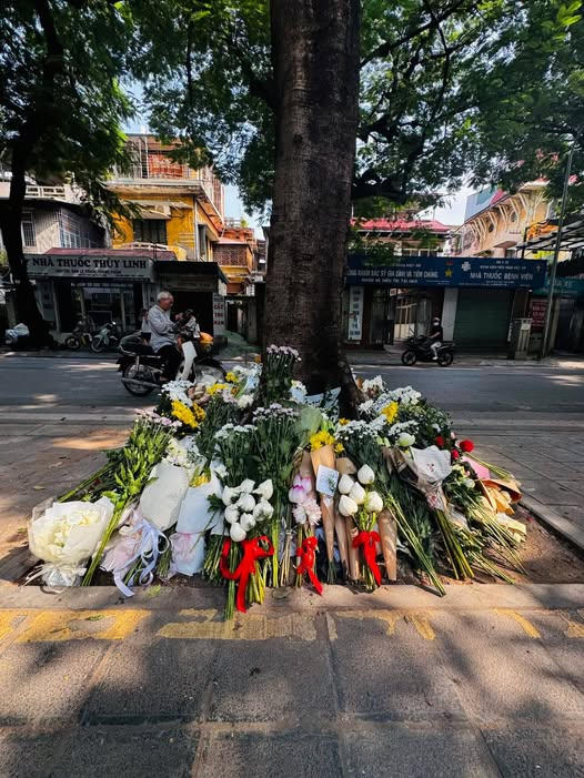 Vietnam Fraternité