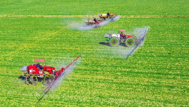 Chiến lược "vũ khí hóa" lương thực của Trung Quốc | Vietnam Fraternité