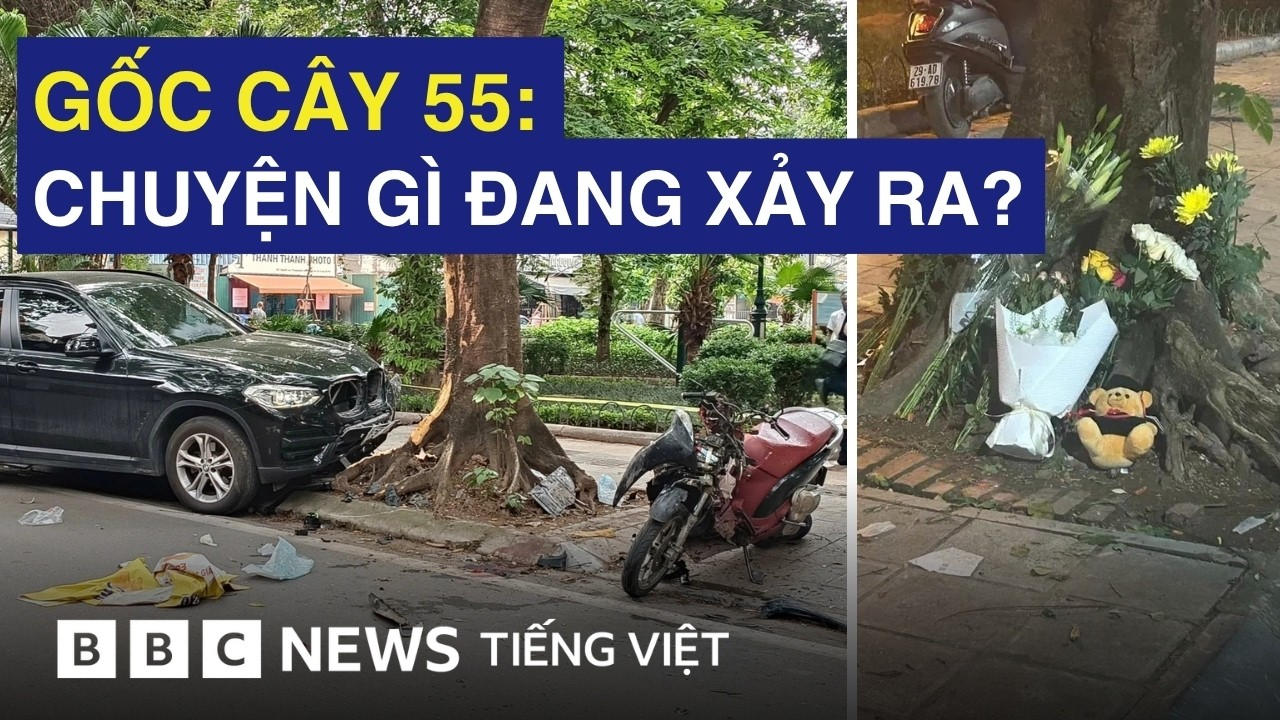 ‘GỐC CÂY SỐ 55’ : VÌ SAO VỤ TAI NẠN HƠN MỘT NĂM TRƯỚC GÂY PHẪN NỘ ?