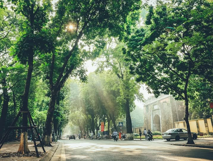 Vietnam Fraternité