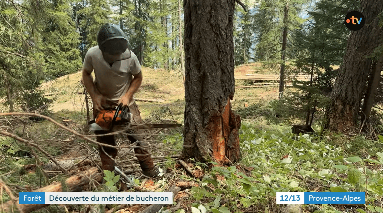 PRESSE | Vis ma vie de bûcheron à la TV | Fibois Sud