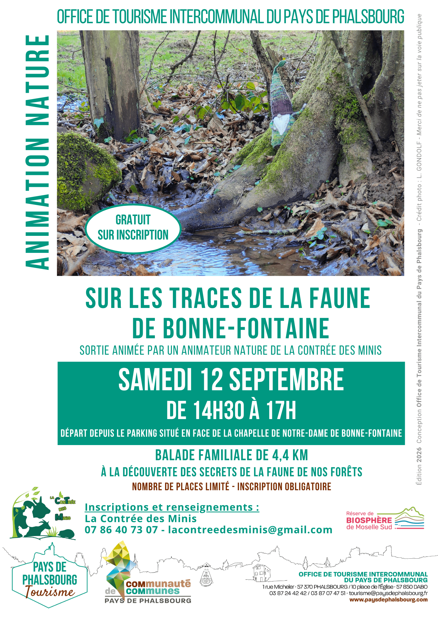Sortie nature : Sur les traces de la faune de Bonne-Fontaine | La contrée des minis