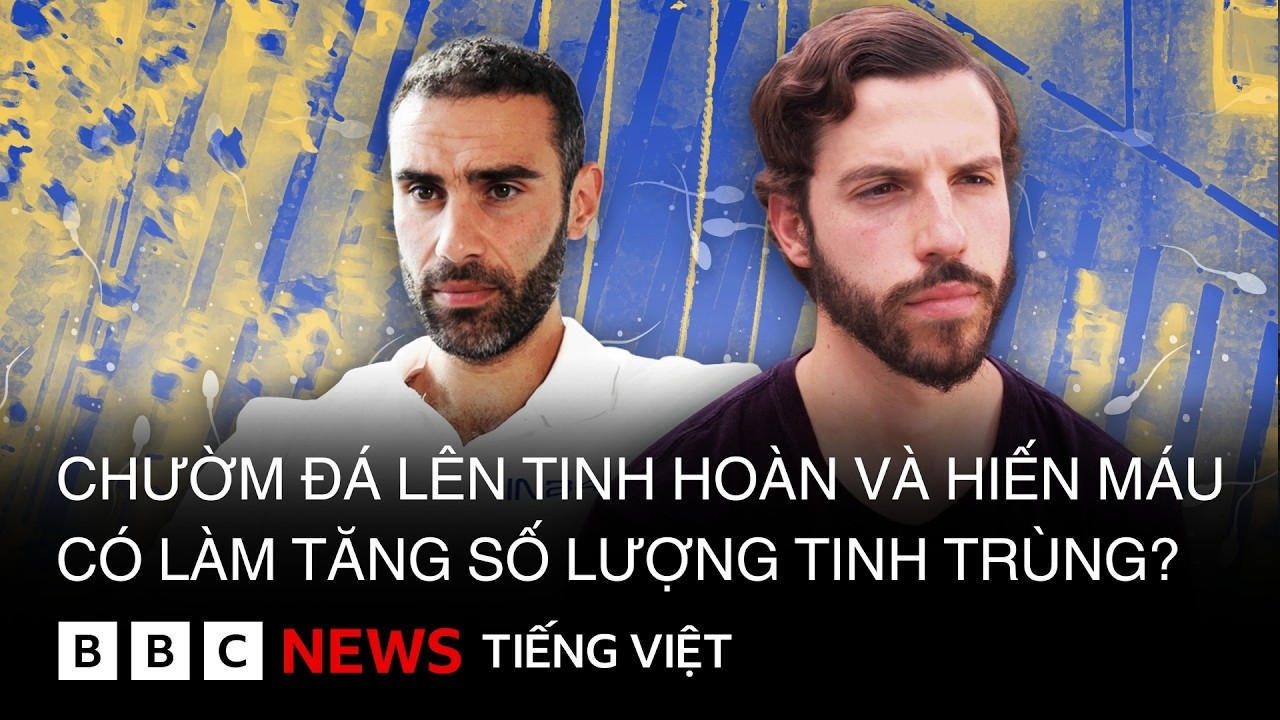 CHƯỜM ĐÁ LÊN TINH HOÀN VÀ HIẾN MÁU CÓ LÀM TĂNG SỐ LƯỢNG TINH TRÙNG ?