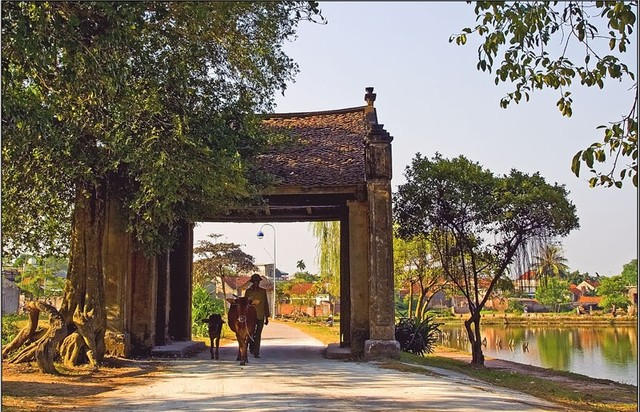 Vietnam Fraternité