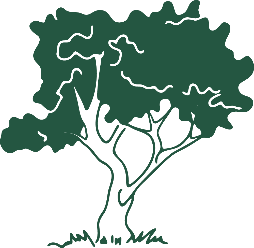 Illustration d’un arbre