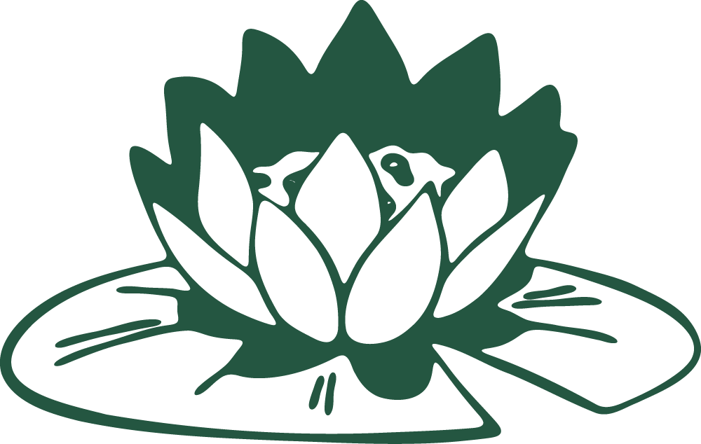 Illustration d’un nénuphar
