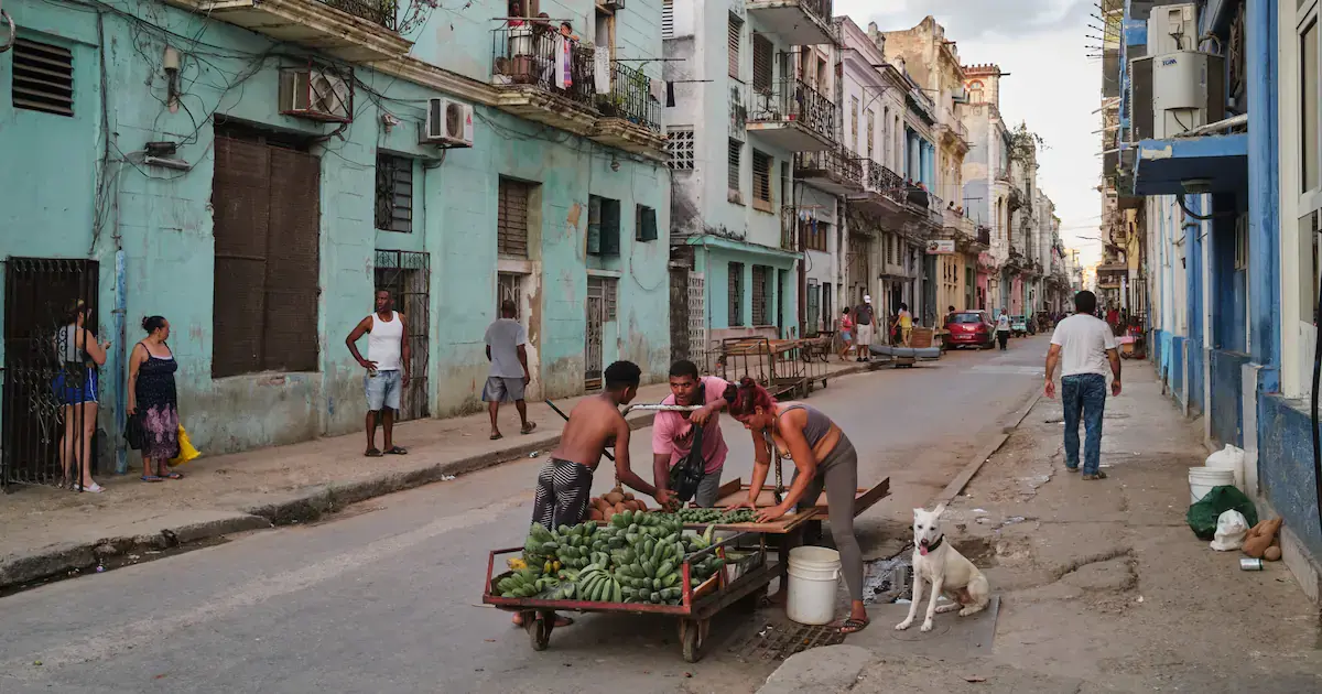 Vietnam Fraternité