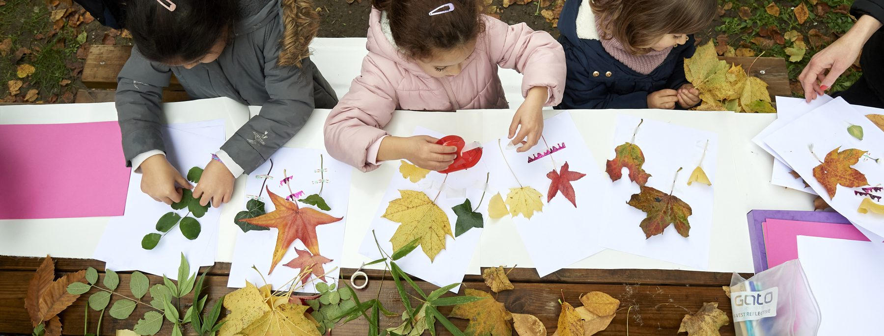 Des enfants composent un herbier avec des feuilles d'automne