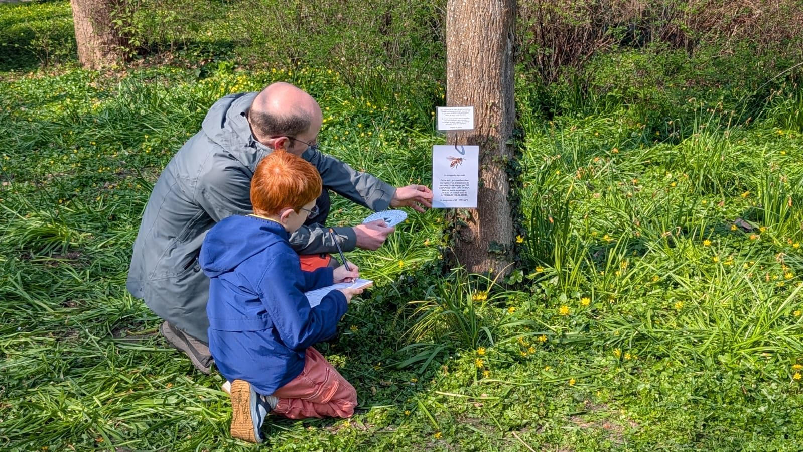 Un adulte et un enfant observent un arbre pendant une enquête biodiversité