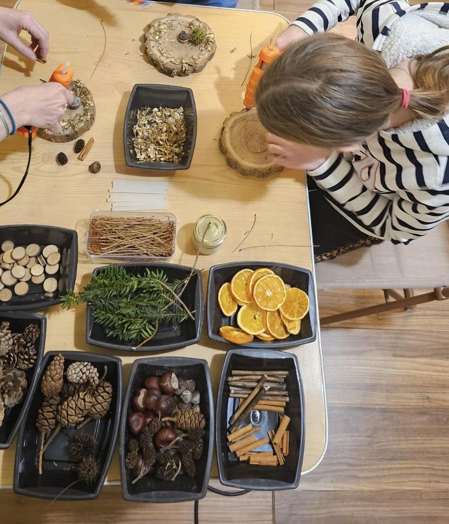 Pommes de pin, oranges séchées et rondins prêts pour l'atelier