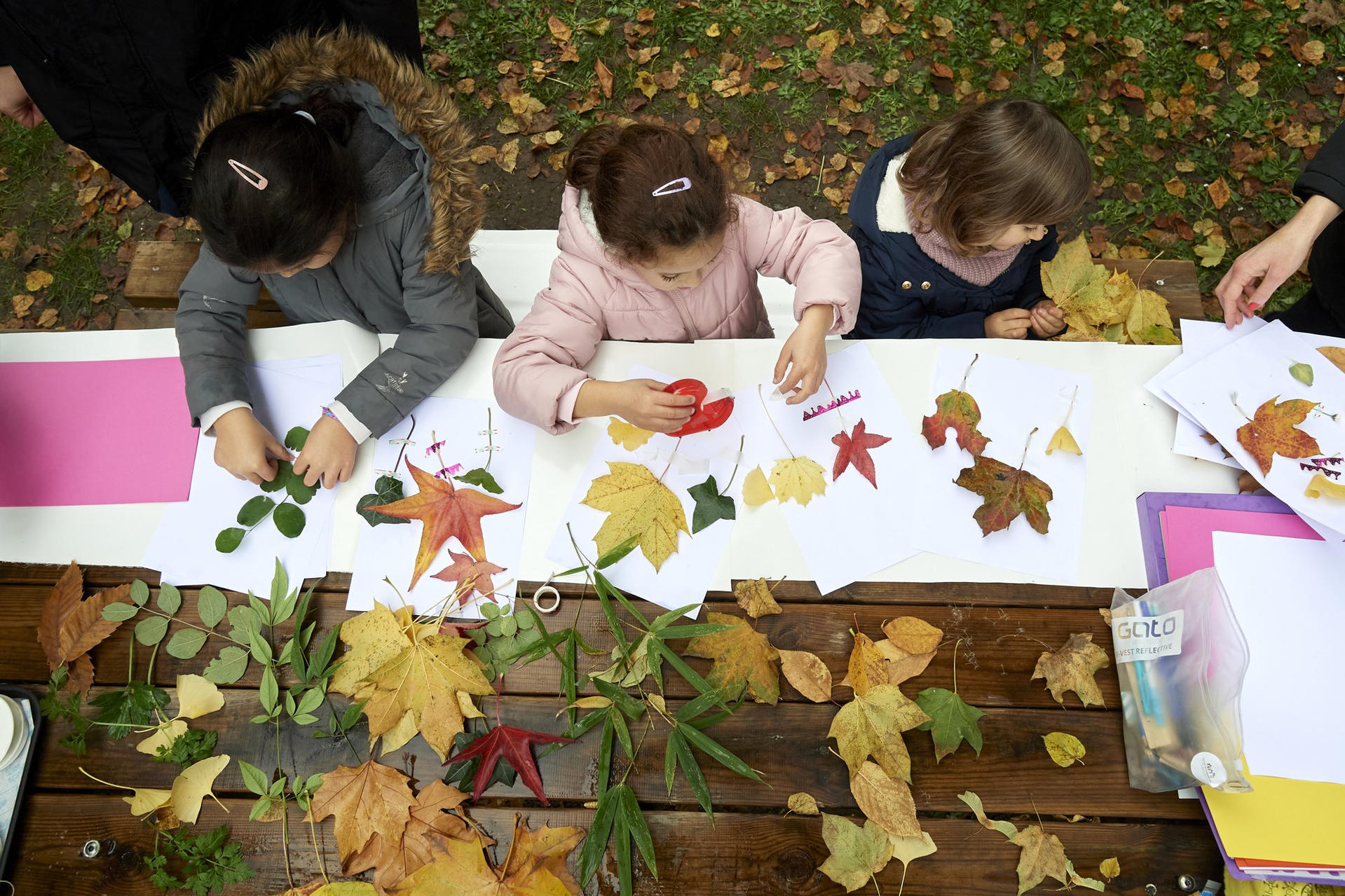 Des enfants composent un herbier avec des feuilles ramassées au jardin