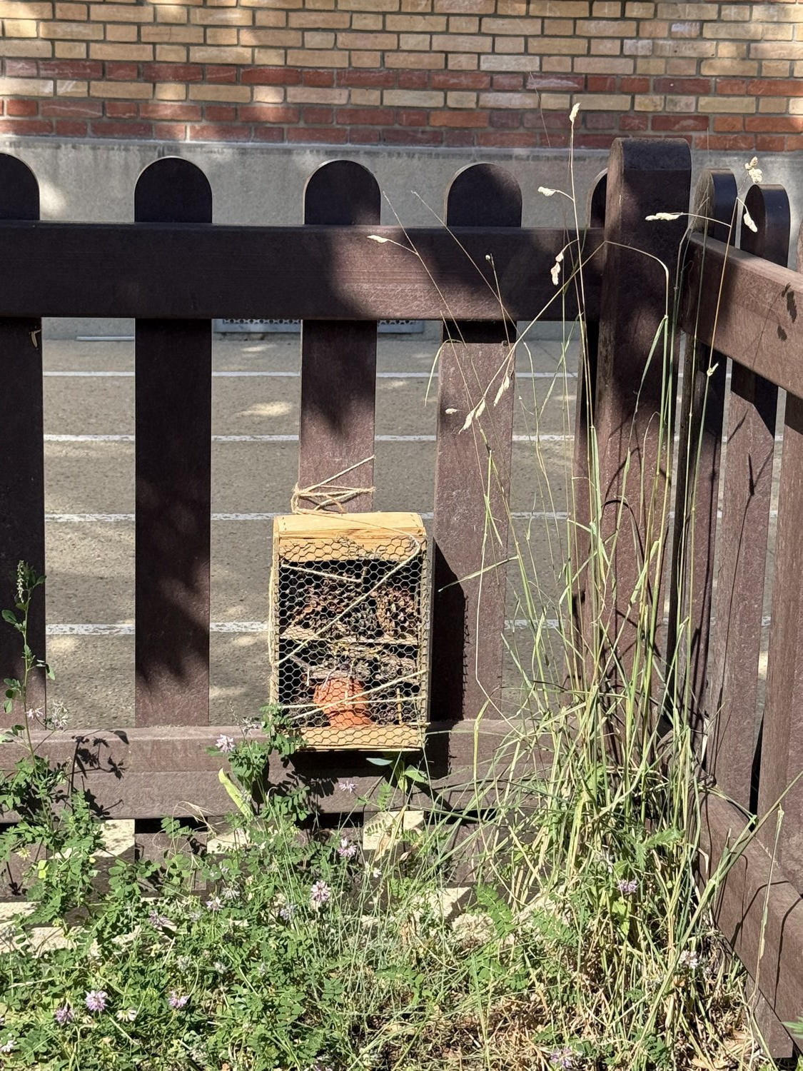 Un petit hôtel à insectes grillagé, rempli de pommes de pin et d'un pot en terre cuite, accroché à une barrière en bois