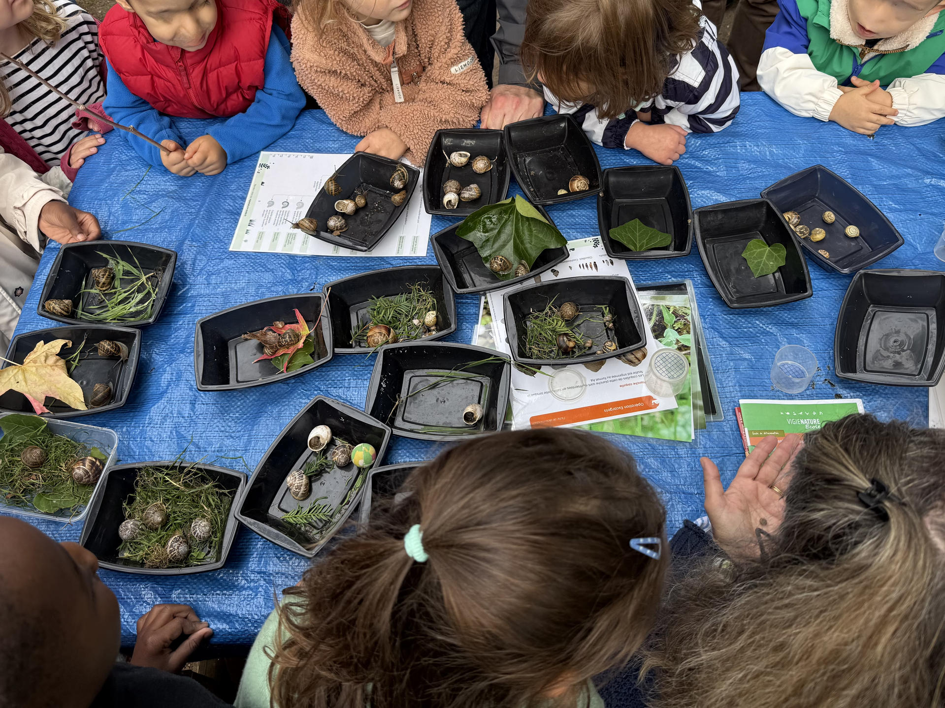 Virginie et des enfants dans un parc, devant une guirlande de cyanotypes réalisés pendant un anniversaire