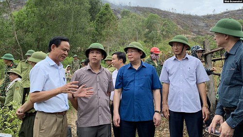 Thiên Hạ Luận về cháy rừng và mưa… vàng ! | Vietnam Fraternité