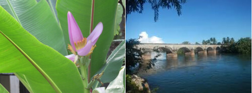 Chuyện một chiếc cầu đã cũ | Vietnam Fraternité