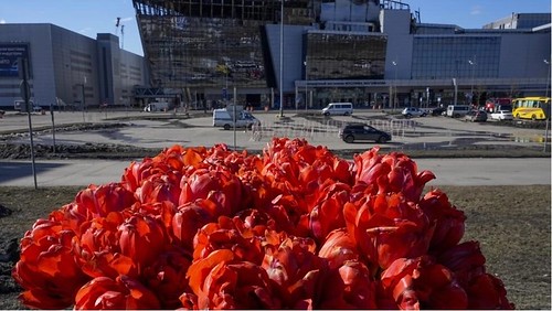 Điểm báo Pháp - Khủng bố Hồi giáo : Putin đâm lao phải theo lao | Vietnam Fraternité