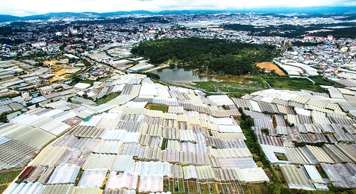 Đà Lạt còn lại gì sau những phiêu lưu quy hoạch ? | Vietnam Fraternité