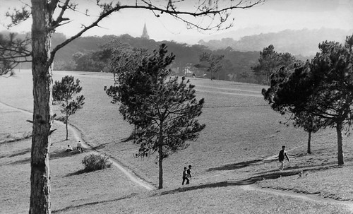 Trả lại cho Đà Lạt nét đẹp thiên nhiên truyền thống | Vietnam Fraternité
