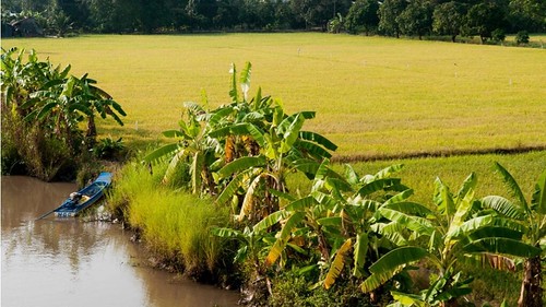 Hoành hành của Trung Quốc : Liệu sông Mekong có trở thành Biển Đông ? | Vietnam Fraternité