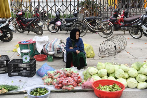 Chả dại gì làm công dân tốt ! | Vietnam Fraternité