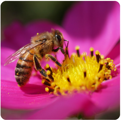 Đằng sau bức màn chuyên chế, trí thức không im lặng | Vietnam Fraternité