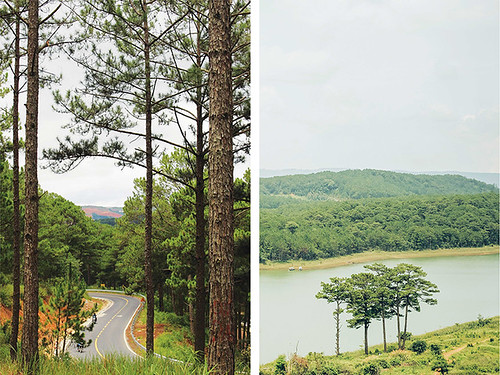 Nghĩ về Đồi Dinh và di sản đô thị Đà Lạt | Vietnam Fraternité