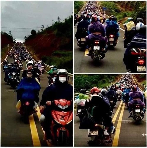 Vẻ đẹp đau đớn | Vietnam Fraternité