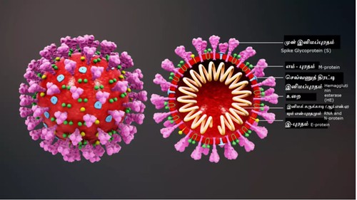 Covid : Việt Nam thông báo phát hiện biến thể virus "nguy hiểm gấp bội" | Vietnam Fraternité