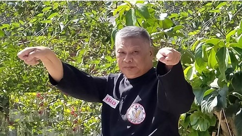 Đưa võ cổ truyền vào học đường | Vietnam Fraternité