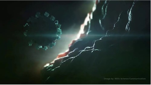 "Chúng ta phải chung sống với virus corona như đang sống với HIV" | Vietnam Fraternité