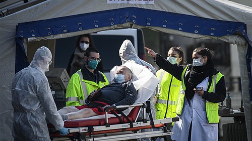 Lãnh đạo thời Cô Vi | Vietnam Fraternité