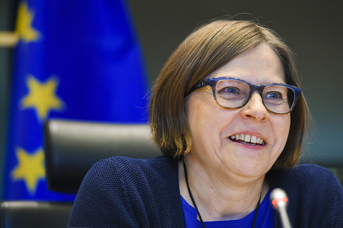 EVFTA : Bất đồng ý kiến trong dân chủ - 1 | Vietnam Fraternité