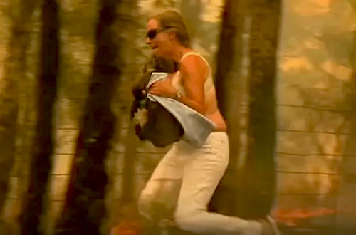 Virus corona : Mối lo đầu năm chuột | Vietnam Fraternité