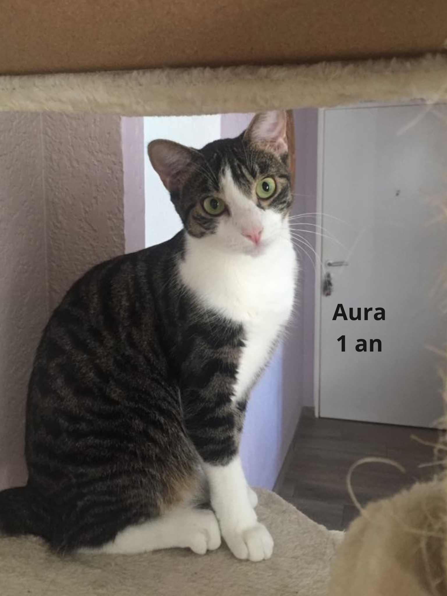 - | Ch'amis pour la vie