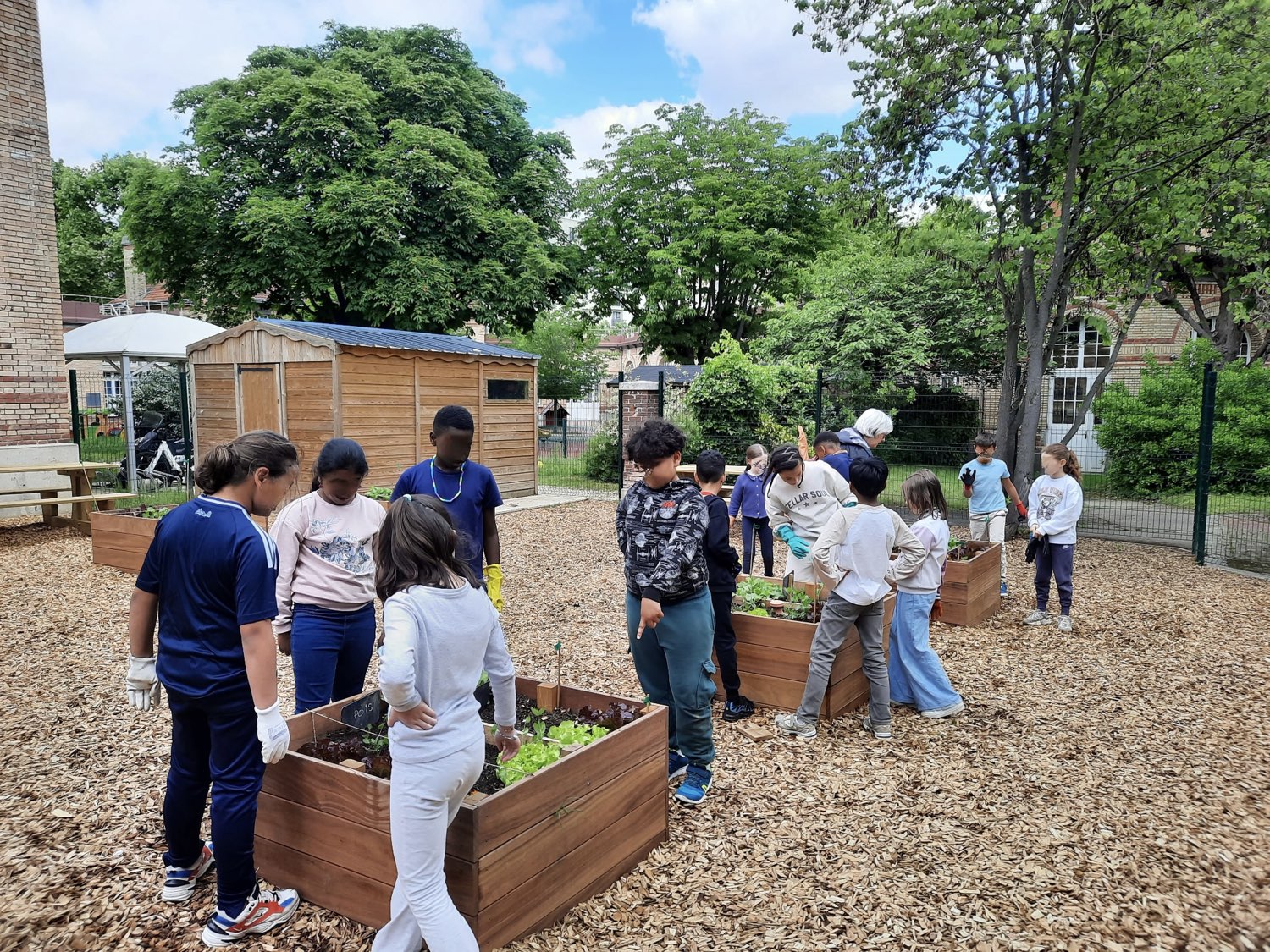 Des enfants autour de carrés potagers en bois dans un jardin d'école